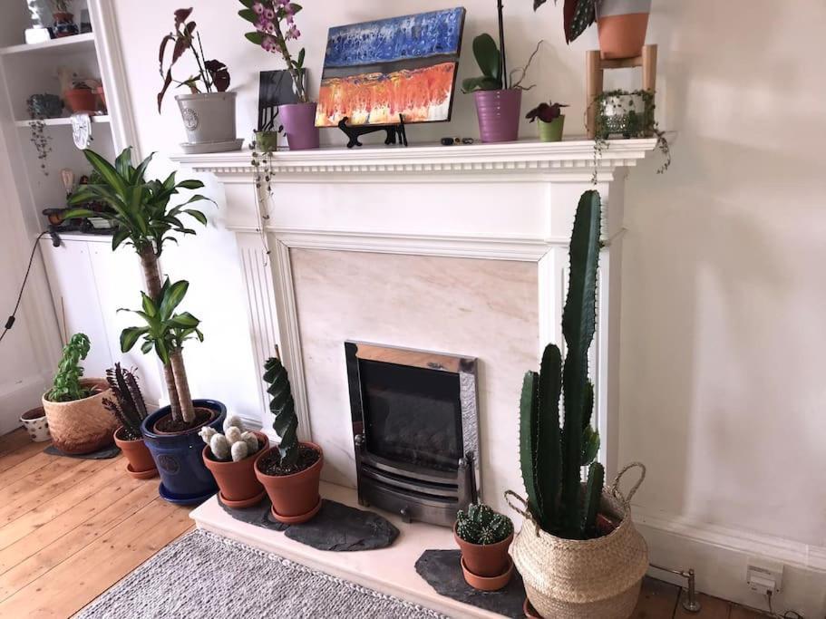 Cosy 2 Bedroom Flat In Edinburgh — Photos 1